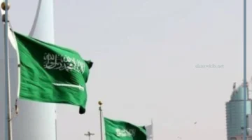 ريادة الأعمال