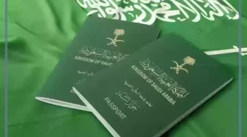 زيارة العمل السعودية