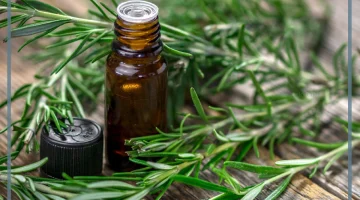 زيت إكليل الجبل