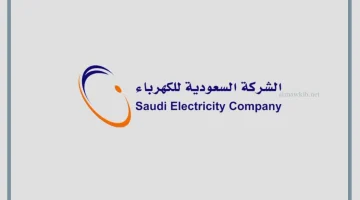 سداد فاتورة الكهرباء