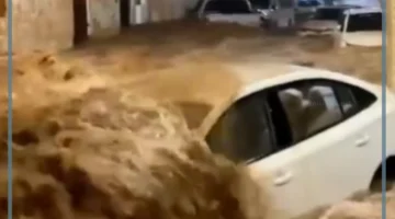 سيول المدينة المنورة