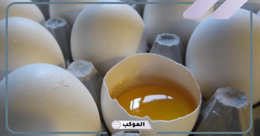 تفسير حلم البيض للحامل