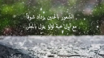 عبارات الشتاء