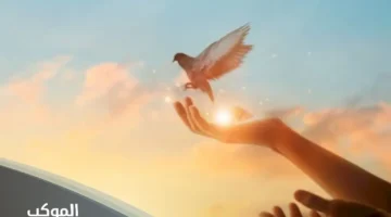 عبارات تفاؤل