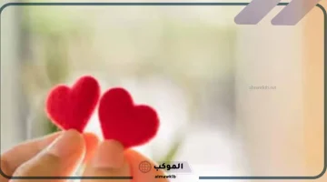 عبارات حب وعطر