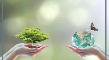 عبارات عن البيئة والمحافظة عليها