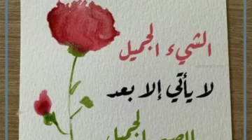 عبارات عن الصبر