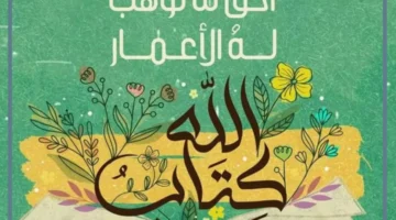 عبارات عن القران