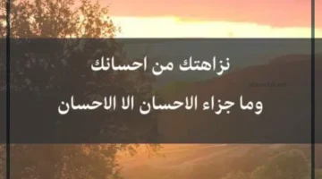 عبارات عن النزاهة