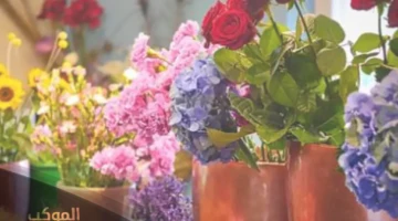 عبارات عن الورد جميلة