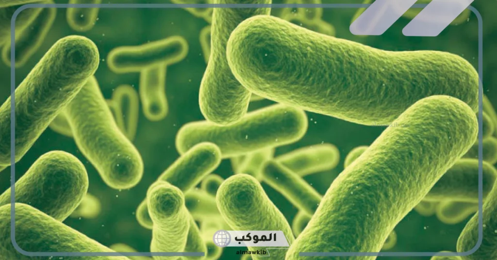 أعراض نقص البكتيريا النافعة النفسية 