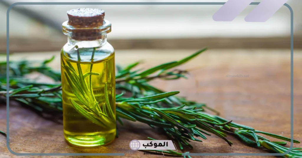 متى يبدأ مفعول زيت اكليل الجبل للشعر؟ 
