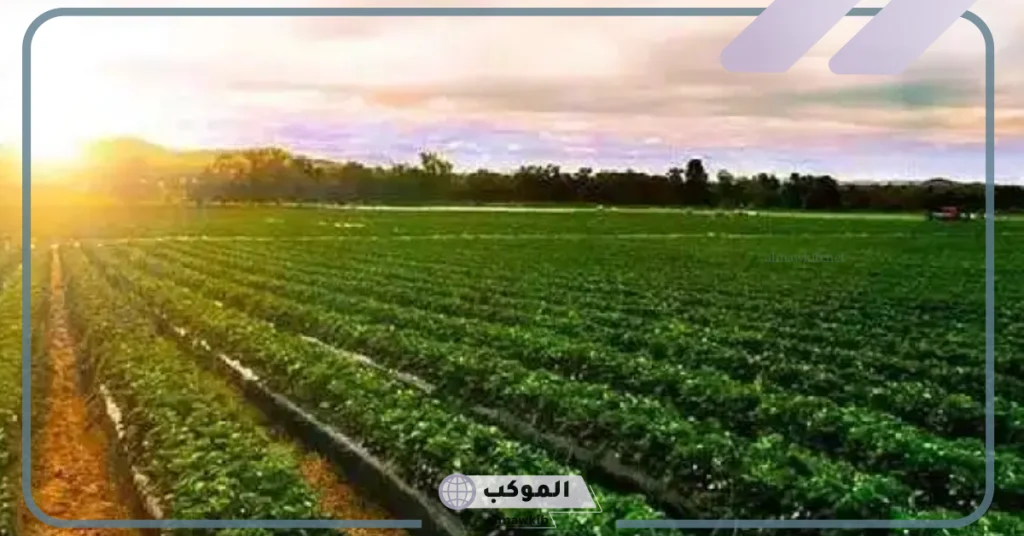 شروط وطريقة الحصول على أرض زراعية من وزارة الزراعة