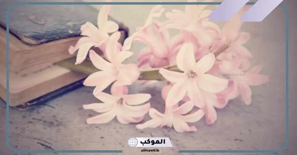 عبارات راقية قصيرة ..جدا أجمل كلمات راقية 2024 6 عبارات راقية لنفسي