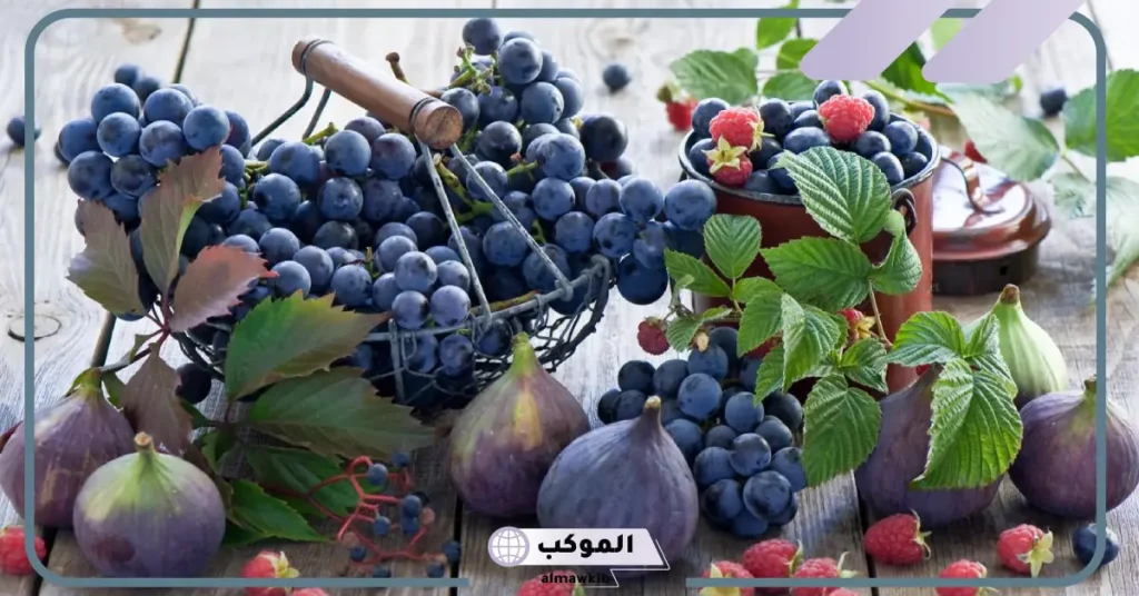 رؤية التين في المنام