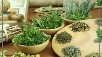 هل عشبة الاسبغول تنحف الجسم؟