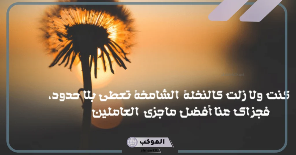 كلمة شكر وتقدير على الجهود المبذولة 