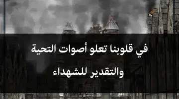 أجمل ما قيل عن الشهيد