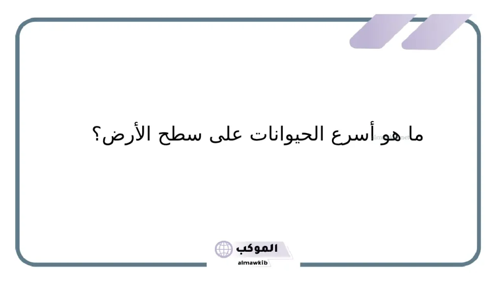 أسئلة دينية للأطفال