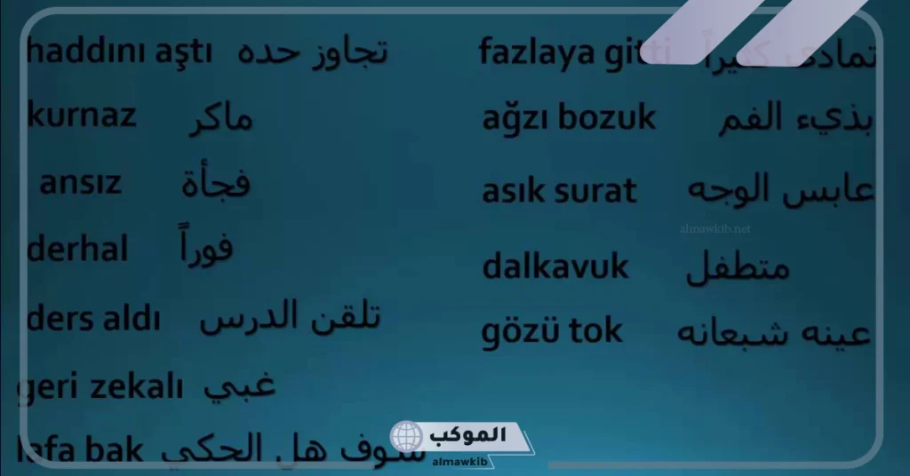 كلمات تركية مشهورة بمعانيها وترجمتها 5 كلمات تركية مترجمة