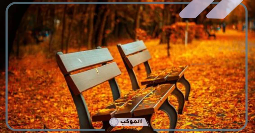 عبارات عن الخريف والأوراق المتساقطة.. أقوال رائعة عن الخريف 6 عبارات عن الخريف بالانجليزي