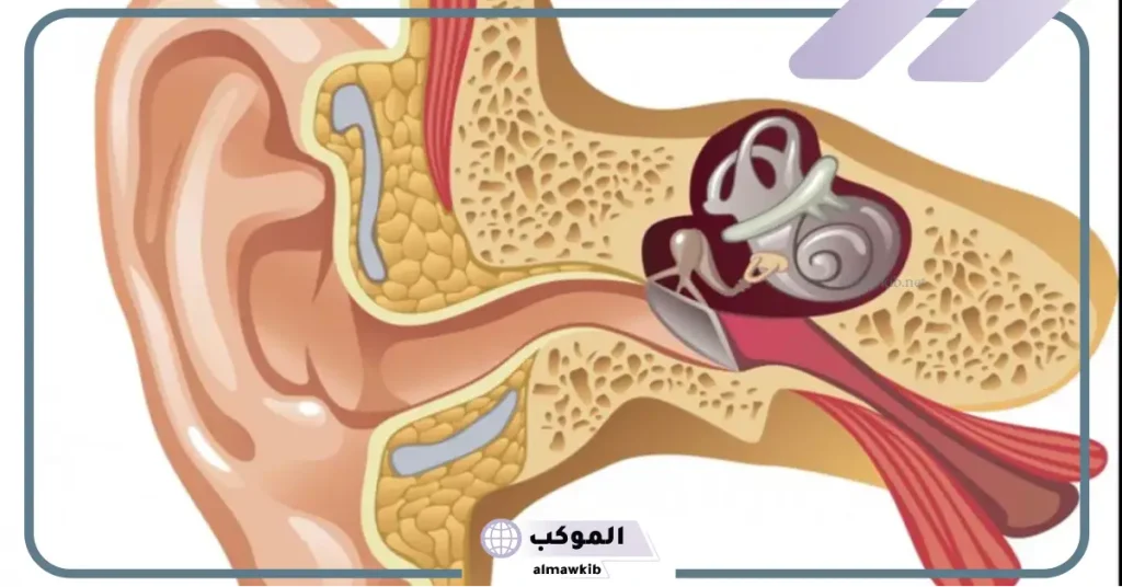 تجربتي مع انسداد قناة استاكيوس وعدم التهويه 6 علاج انسداد قناة استاكيوس بالطب البديل
