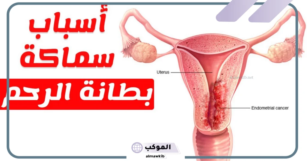 تجربتي مع سماكة بطانة الرحم بالأعراض وطرق العلاج والأسباب 5 متى تكون سماكة بطانة الرحم خطيرة؟