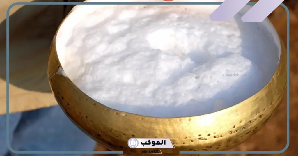 تجربتي مع حليب الابل على الريق بالفوائد والأضرار 6 أوقات شرب حليب الإبل