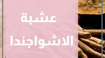 الاشواجندا