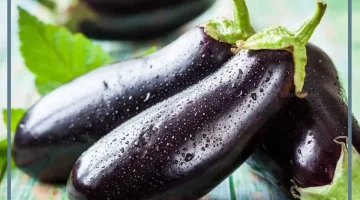 الباذنجان في الحلم