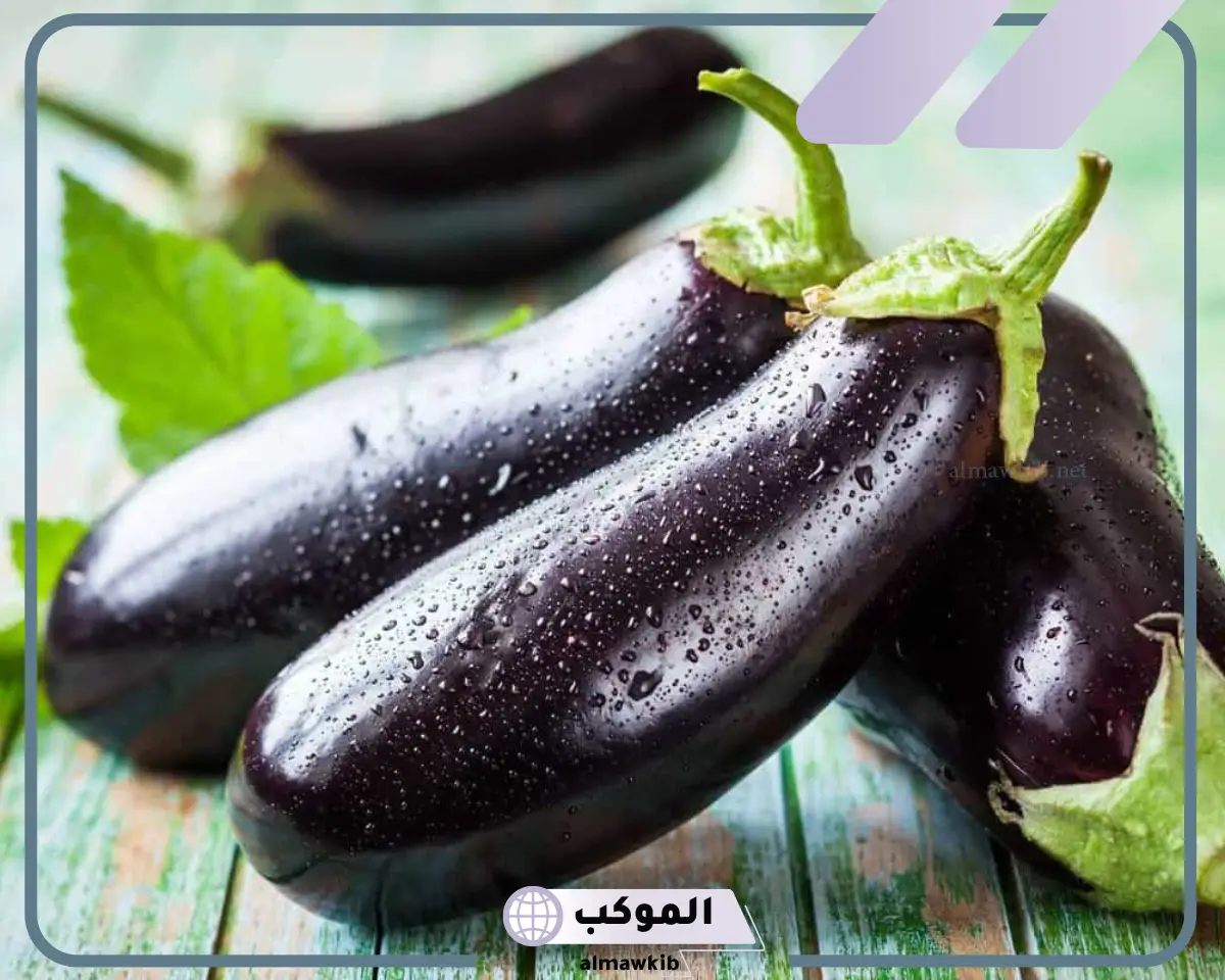 تفسير حلم الباذنجان في منام الحامل