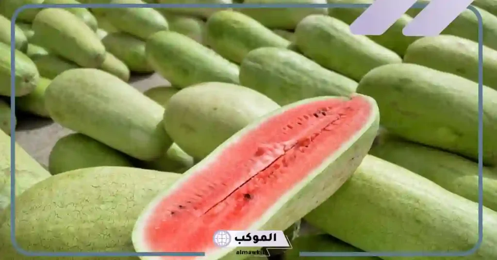 تفسير حلم اكل البطيخ الأصفر 