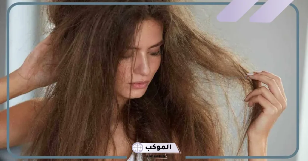 تجربتي في التخلص من نفشة الشعر والنتيجة 6 التخلص من نفشة الشعر بعد الاستشوار