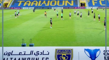 التعاون والقوة