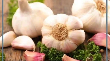 الثوم في المنام