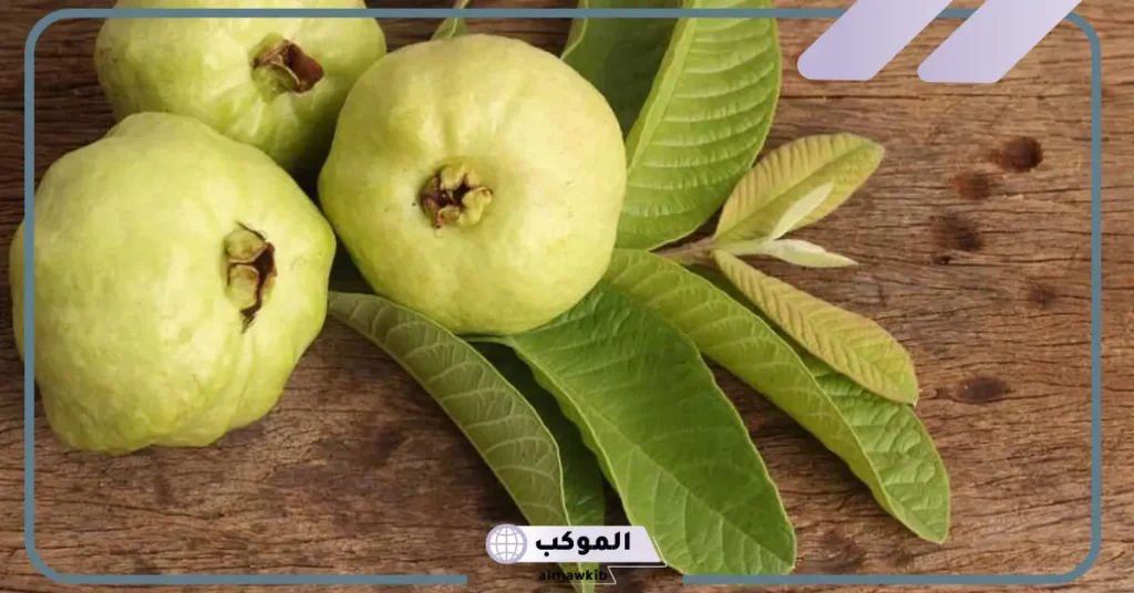 دلالات رؤية الجوافة في المنام