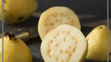 الحلم بالجوافة