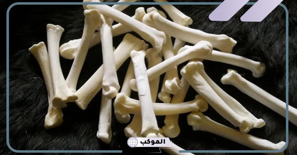 تفسير رؤية عظام في المنام للعزباء