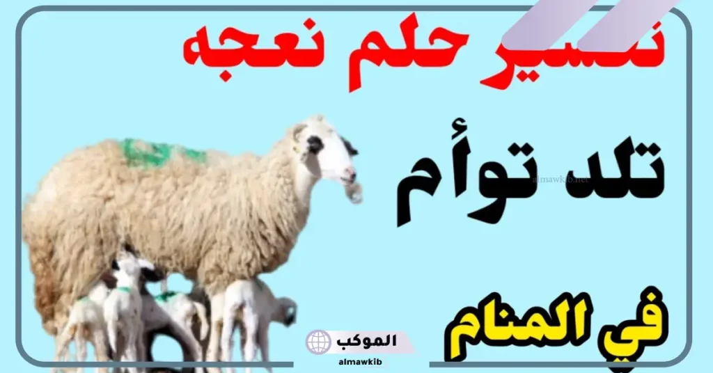 تفسير حلم النعجة البيضاء