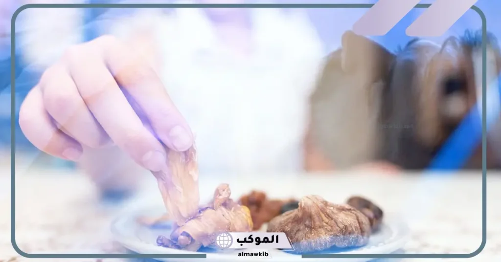 رؤية شخص اعرفه يأكل في المنام للعزباء