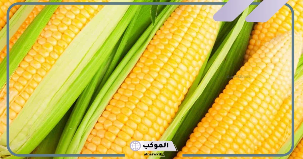 كيزان الذرة في المنام