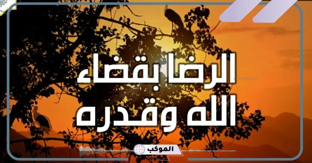 كلام جميل عن الرضا والصبر