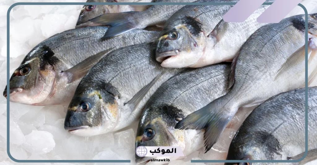 تفسير حلم رؤية السمك في المنام وعلاقته بالخير القادم 6 رؤية السمك في المنام للعزباء