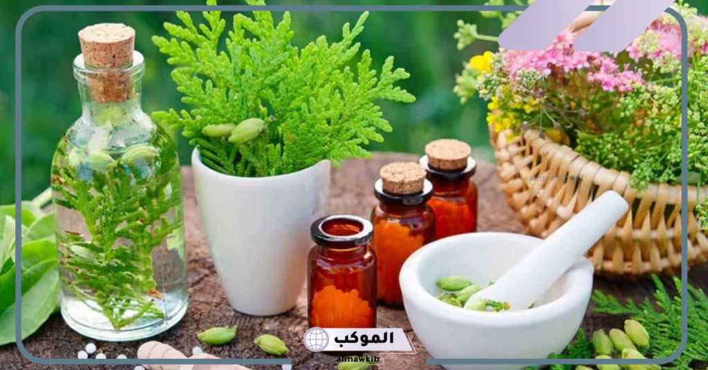 عشبة المدينة للحمل بتوأم