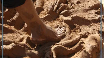 الطين في المنام للعزباء