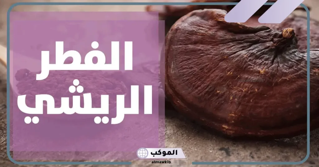 تجربتي مع فطر الريشي للنساء بالفوائد 6 طريقة استخدام كبسولات الفطر الريشي