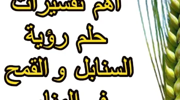 القمح في المنام