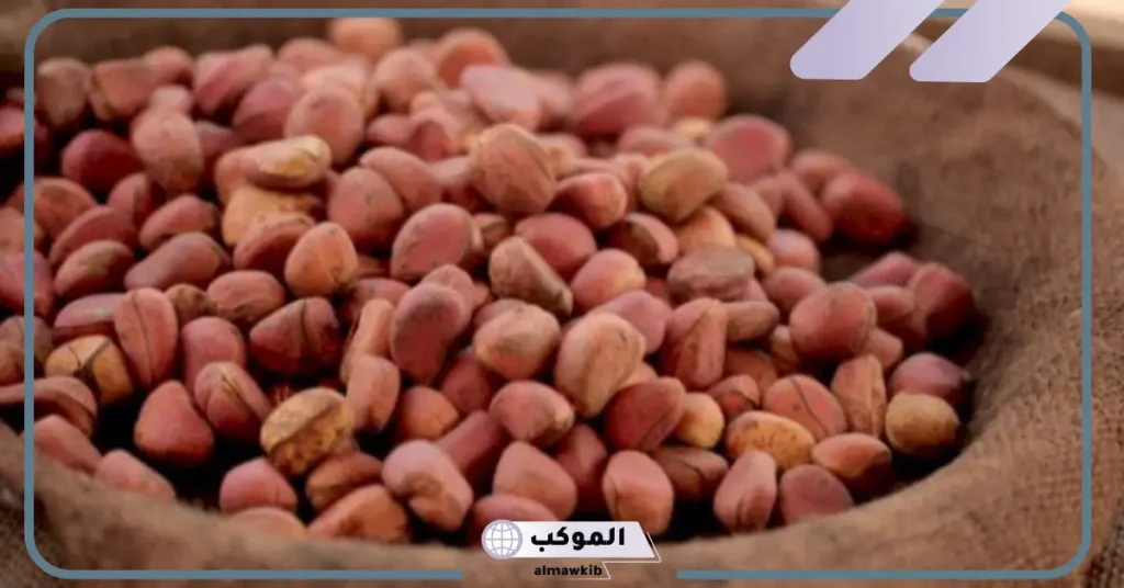 تجربتي مع القورو بالفوائد وطريقة الاستخدام 6 أضرار القورو