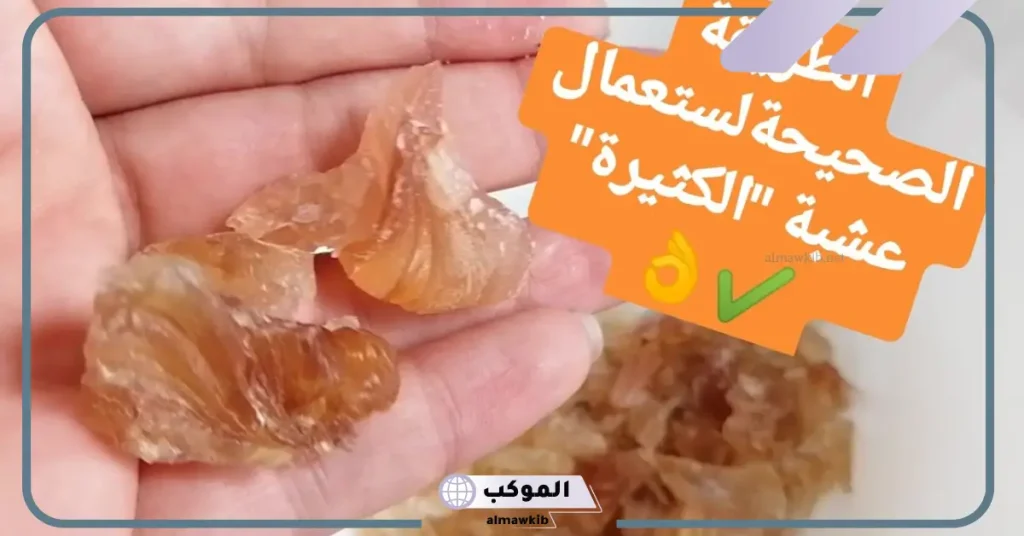 تجربتي مع الكثيرا للشعر لتطويله بالفوائد وطريقة الاستخدام 6 الكثيرة لتطويل الشعر بسرعة