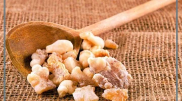 اللبان الذكر